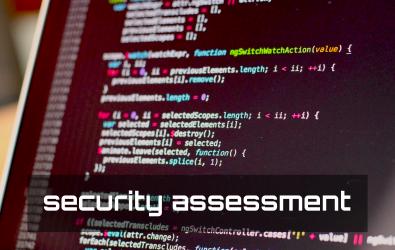 Security assessment image